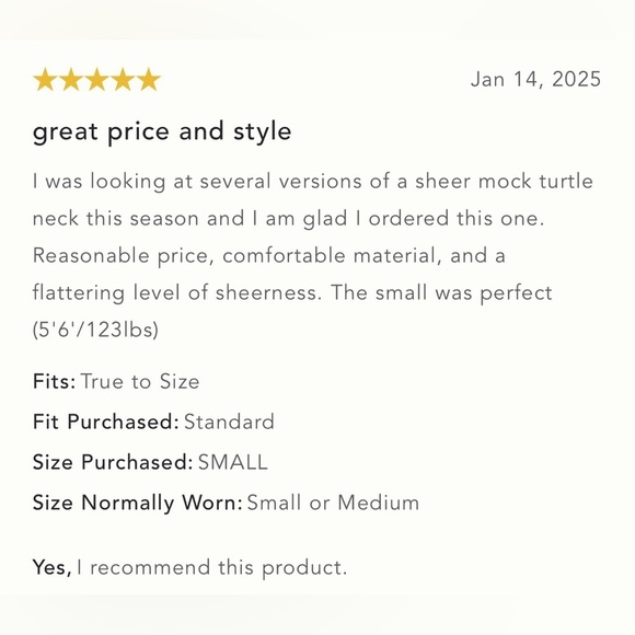 NWT Size M - By Anthropologie Mesh Turtleneck Top - Picture 7 of 15